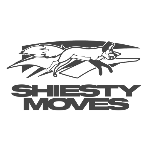 Shiesty Moves